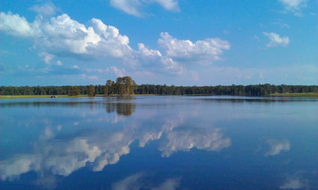 Chickahominy River - Terri Aigner