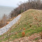 Government project: Slope stabilization by WEC, Westmoreland State Park, Virginia