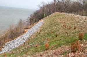 Government project: Slope stabilization by WEC, Westmoreland State Park, Virginia