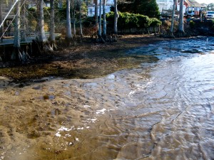 Beach creation, private residence, Chickahominy River - before