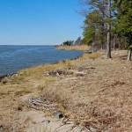 Shoreline stabilization project, private residence - before